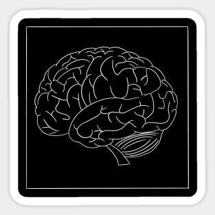 Anatomy Brain Sticker